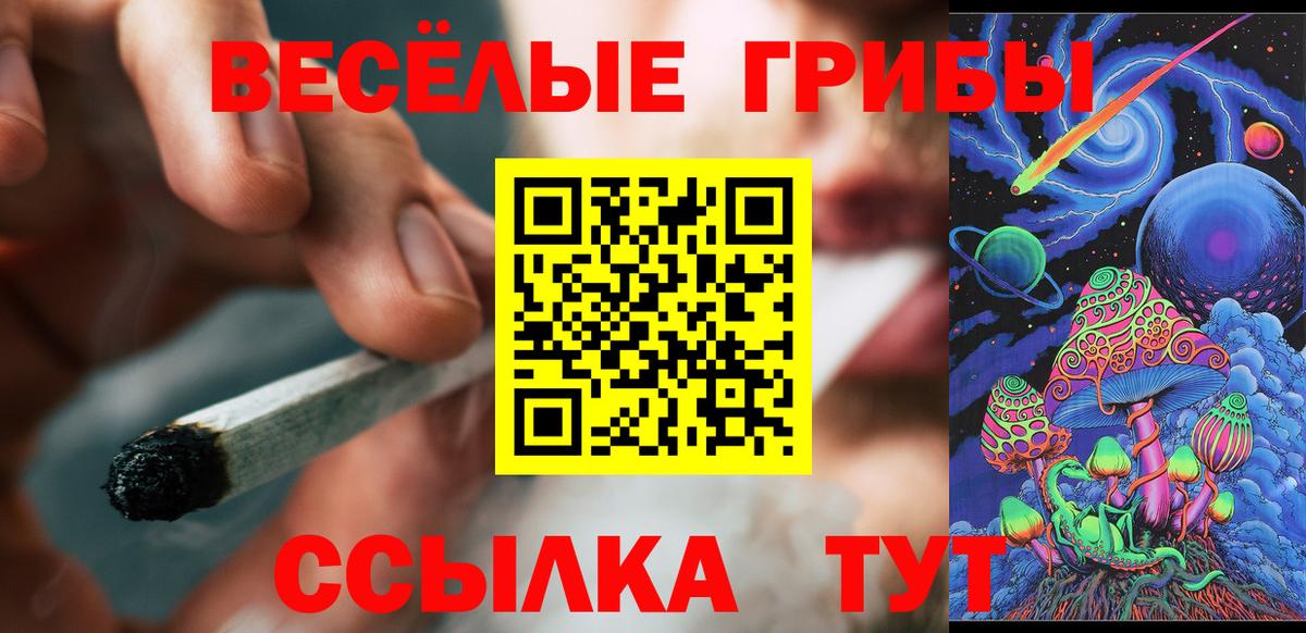 Канаш  Псилоцибиновые грибы MAGIC MUSHROOMS  Вход с VPN 
