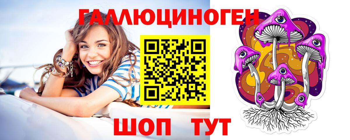 Псилоцибиновые грибы Cubensis Канаш